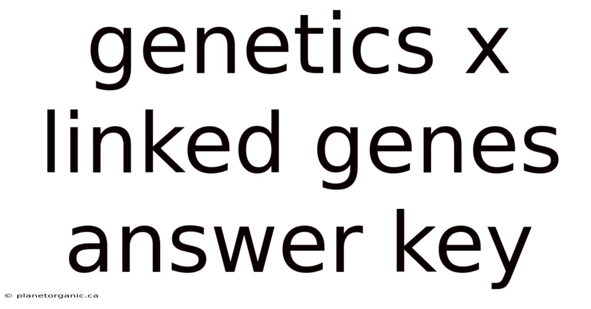 Genetics X Linked Genes Answer Key