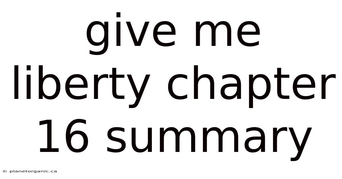 Give Me Liberty Chapter 16 Summary