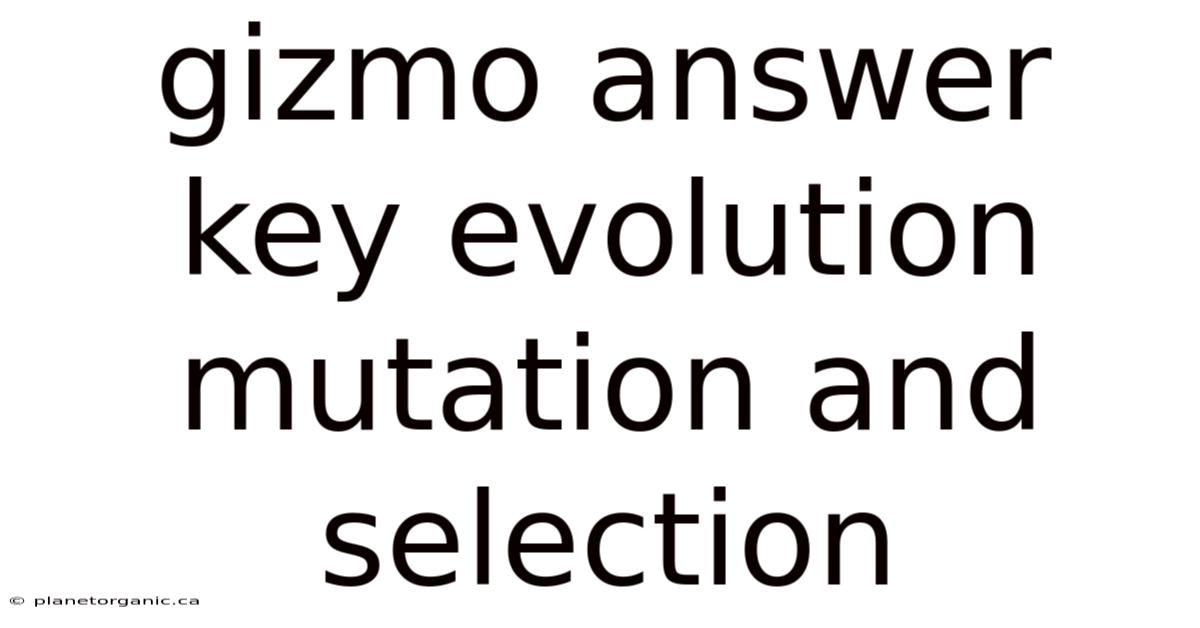 Gizmo Answer Key Evolution Mutation And Selection
