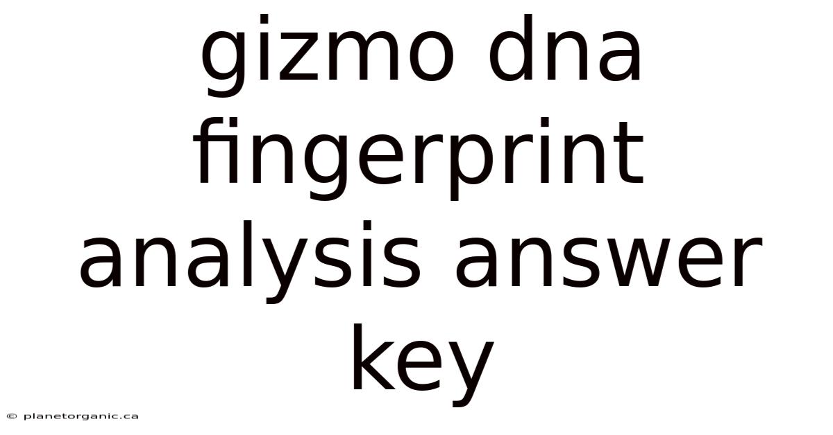 Gizmo Dna Fingerprint Analysis Answer Key