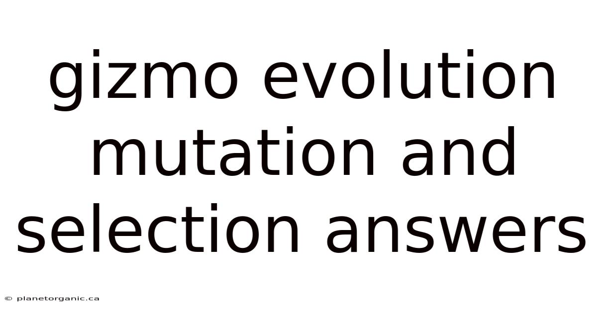 Gizmo Evolution Mutation And Selection Answers
