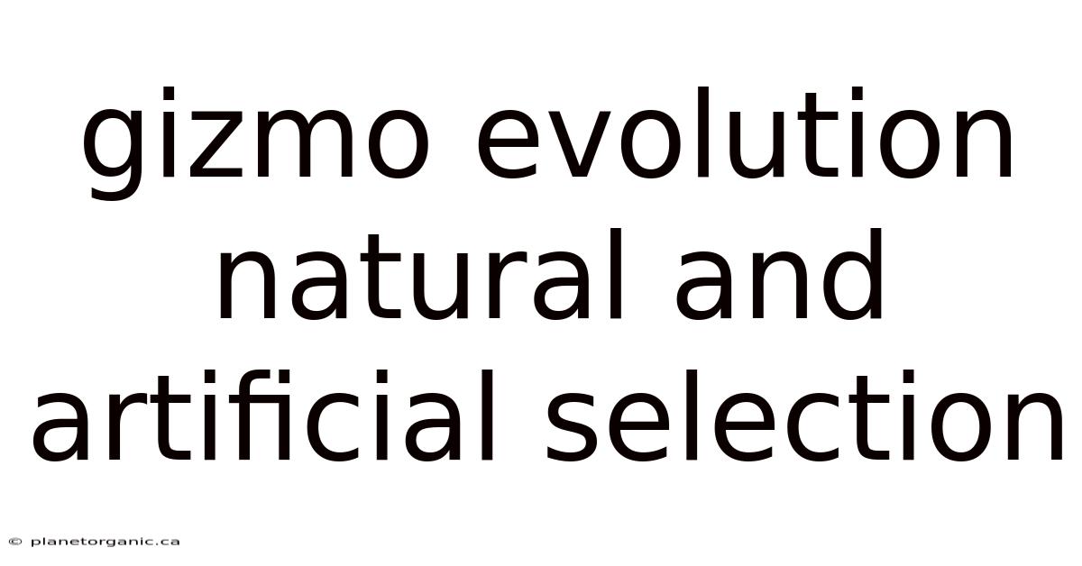 Gizmo Evolution Natural And Artificial Selection