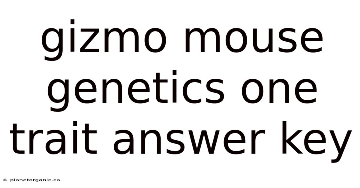 Gizmo Mouse Genetics One Trait Answer Key