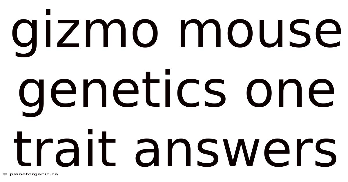 Gizmo Mouse Genetics One Trait Answers