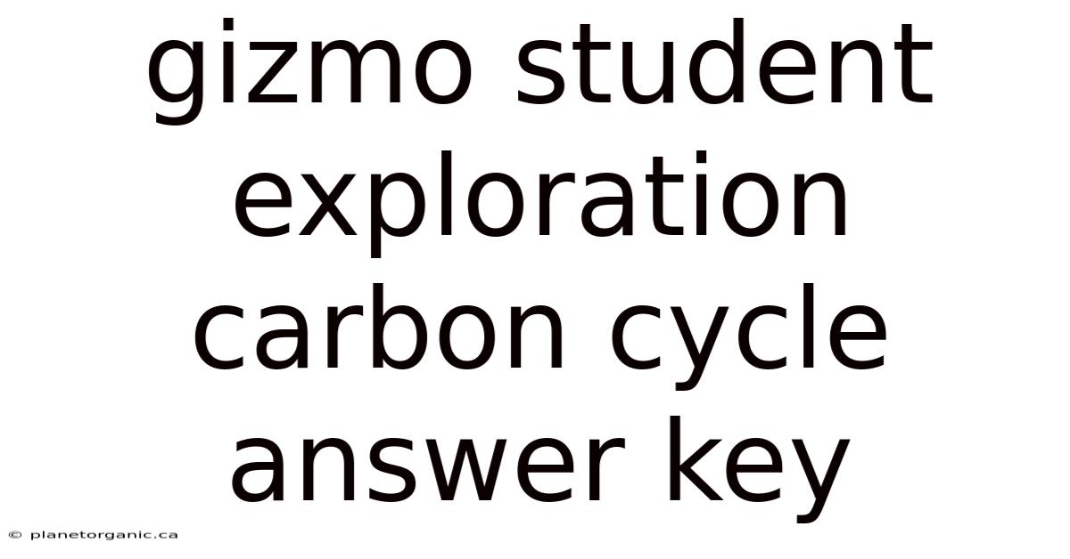 Gizmo Student Exploration Carbon Cycle Answer Key
