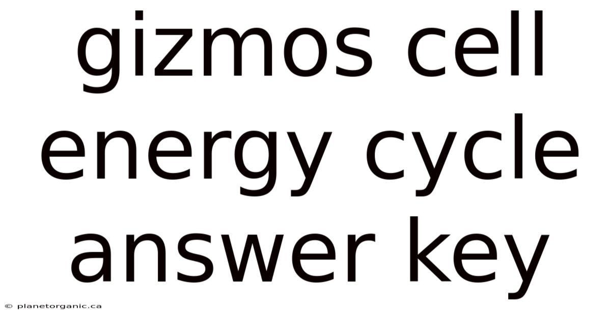 Gizmos Cell Energy Cycle Answer Key
