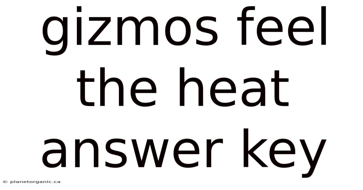 Gizmos Feel The Heat Answer Key