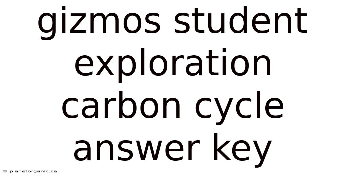 Gizmos Student Exploration Carbon Cycle Answer Key