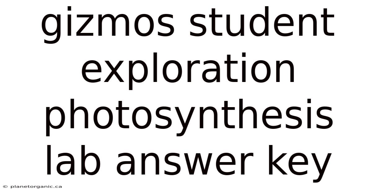 Gizmos Student Exploration Photosynthesis Lab Answer Key