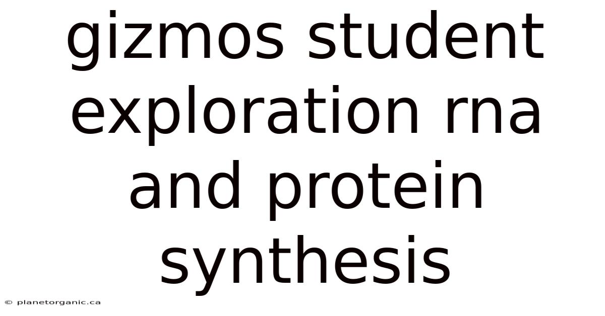Gizmos Student Exploration Rna And Protein Synthesis