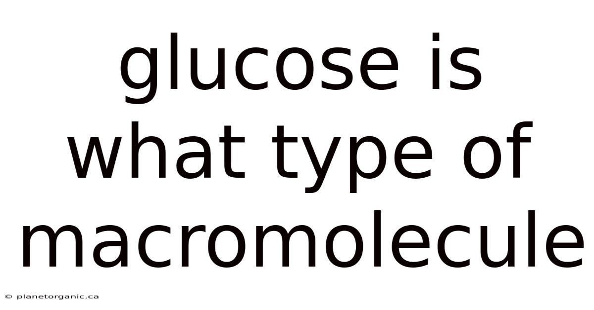 Glucose Is What Type Of Macromolecule