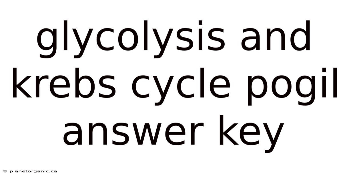 Glycolysis And Krebs Cycle Pogil Answer Key