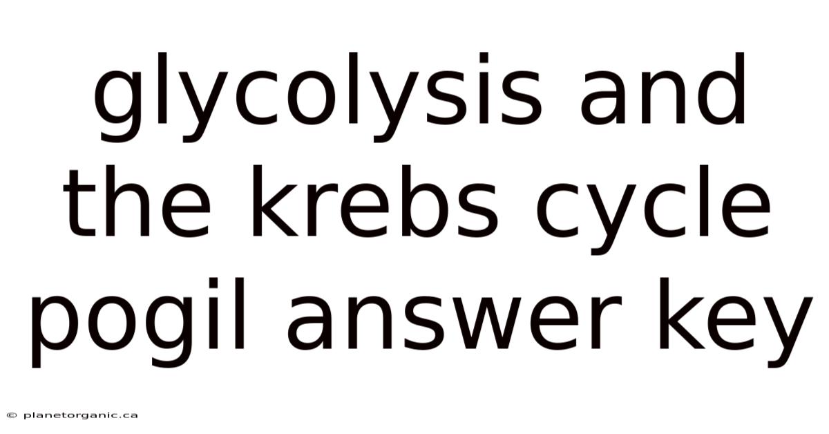 Glycolysis And The Krebs Cycle Pogil Answer Key