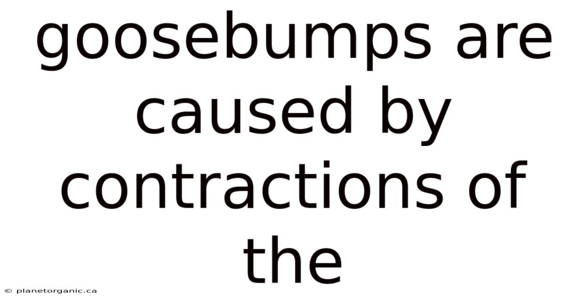 Goosebumps Are Caused By Contractions Of The