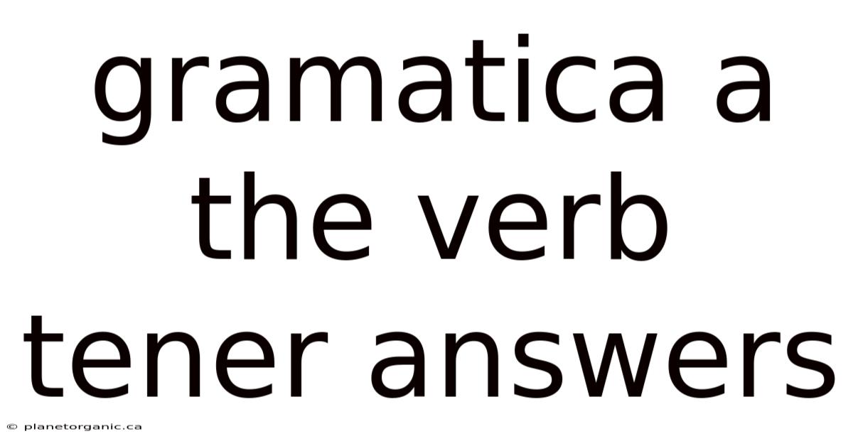 Gramatica A The Verb Tener Answers