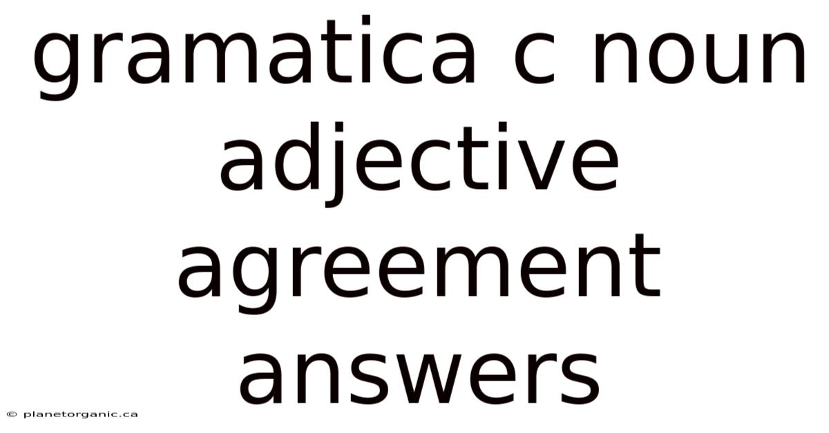Gramatica C Noun Adjective Agreement Answers