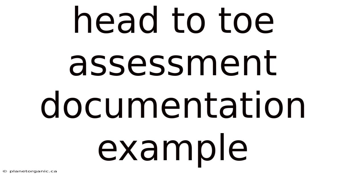 Head To Toe Assessment Documentation Example