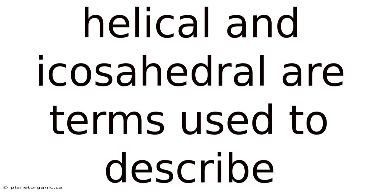 Helical And Icosahedral Are Terms Used To Describe