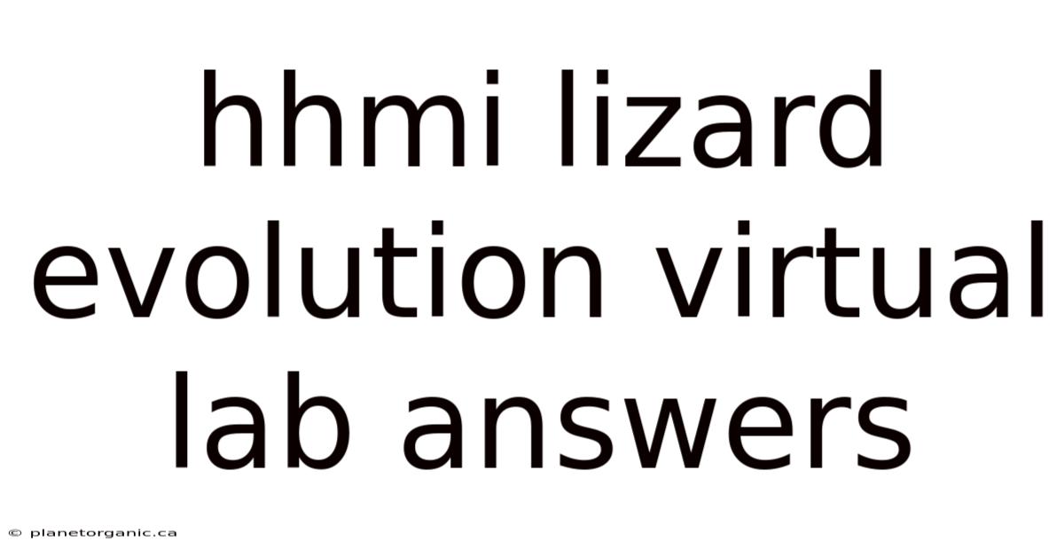 Hhmi Lizard Evolution Virtual Lab Answers