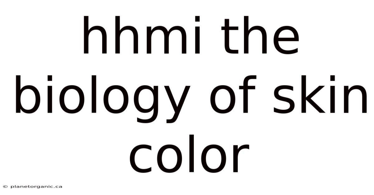 Hhmi The Biology Of Skin Color