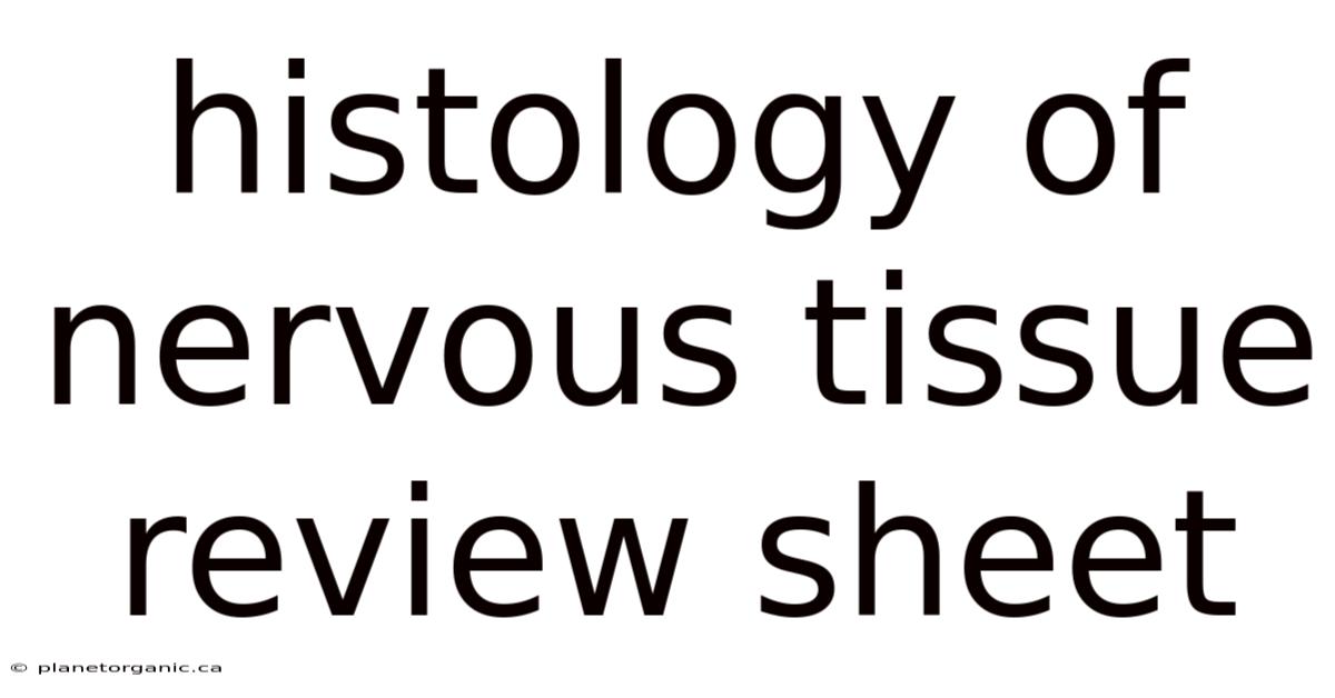 Histology Of Nervous Tissue Review Sheet