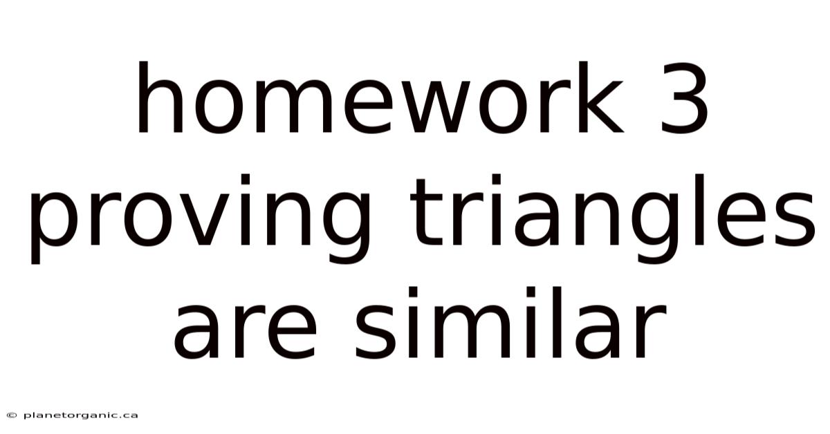 Homework 3 Proving Triangles Are Similar