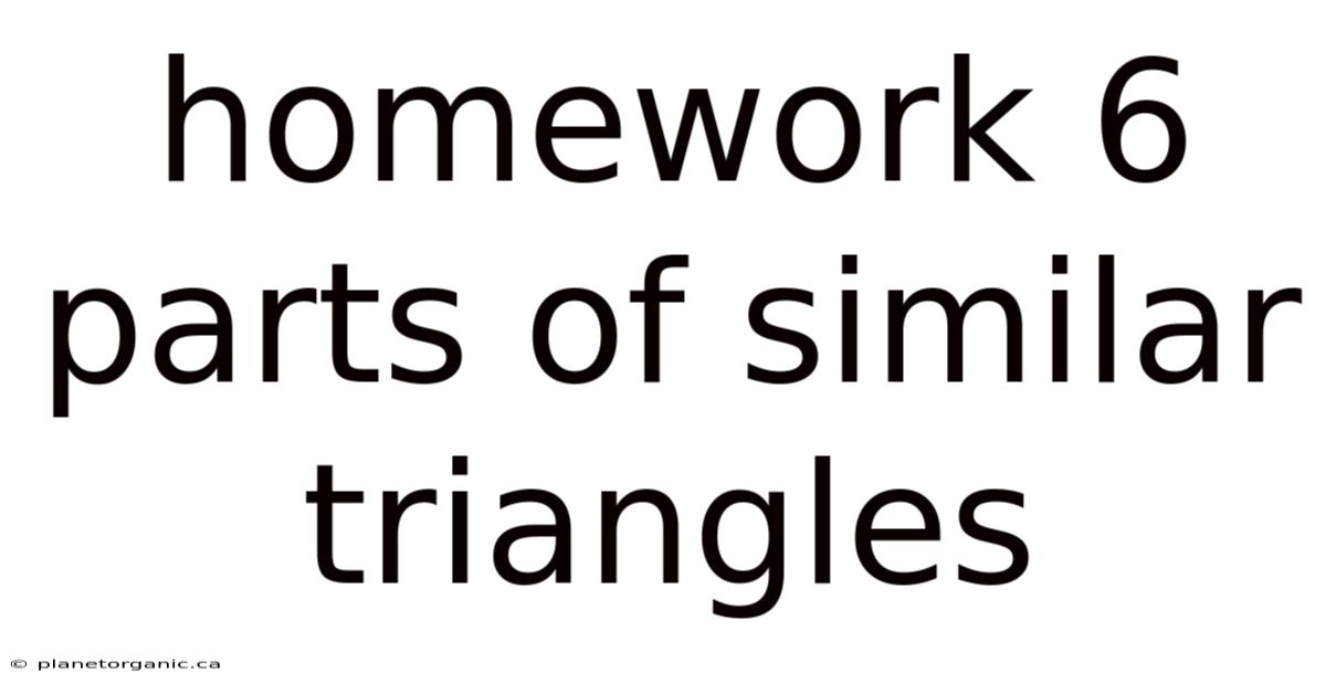 Homework 6 Parts Of Similar Triangles