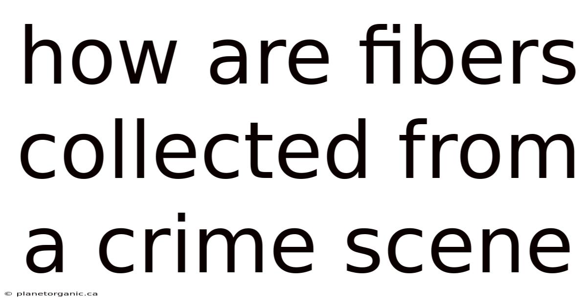 How Are Fibers Collected From A Crime Scene