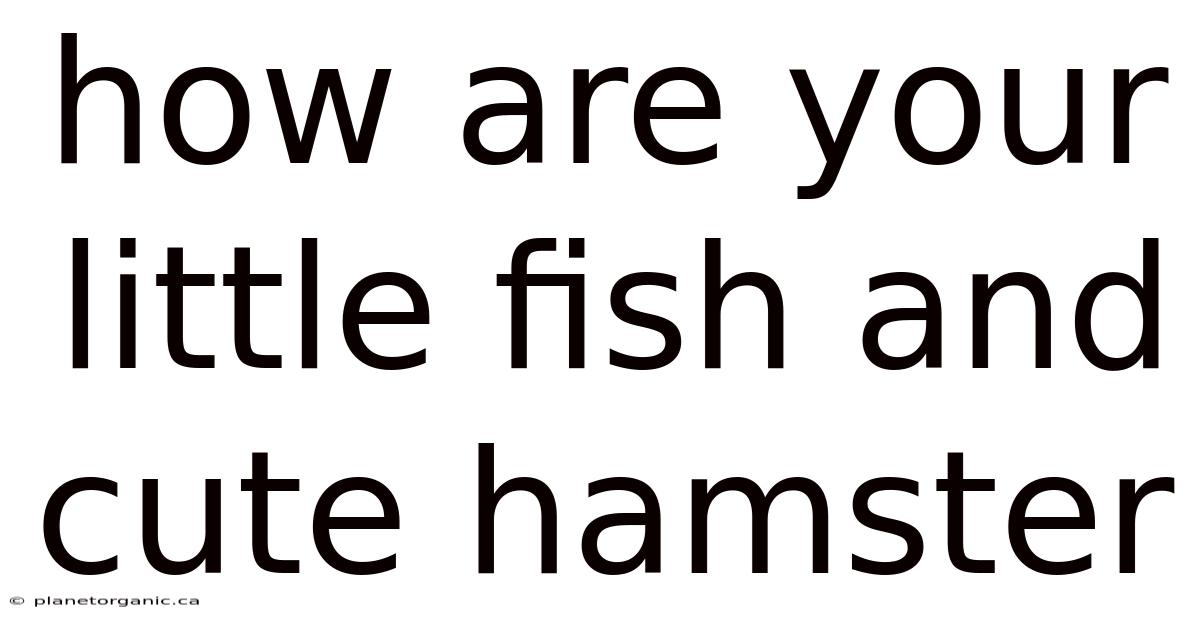 How Are Your Little Fish And Cute Hamster