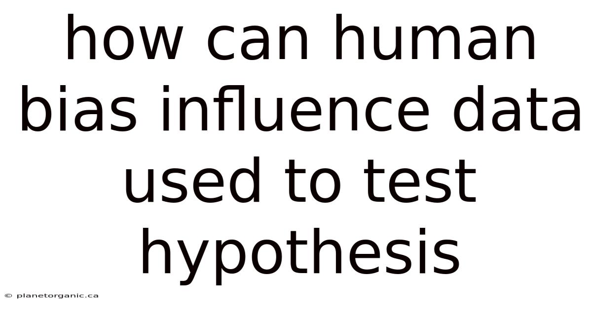 How Can Human Bias Influence Data Used To Test Hypothesis