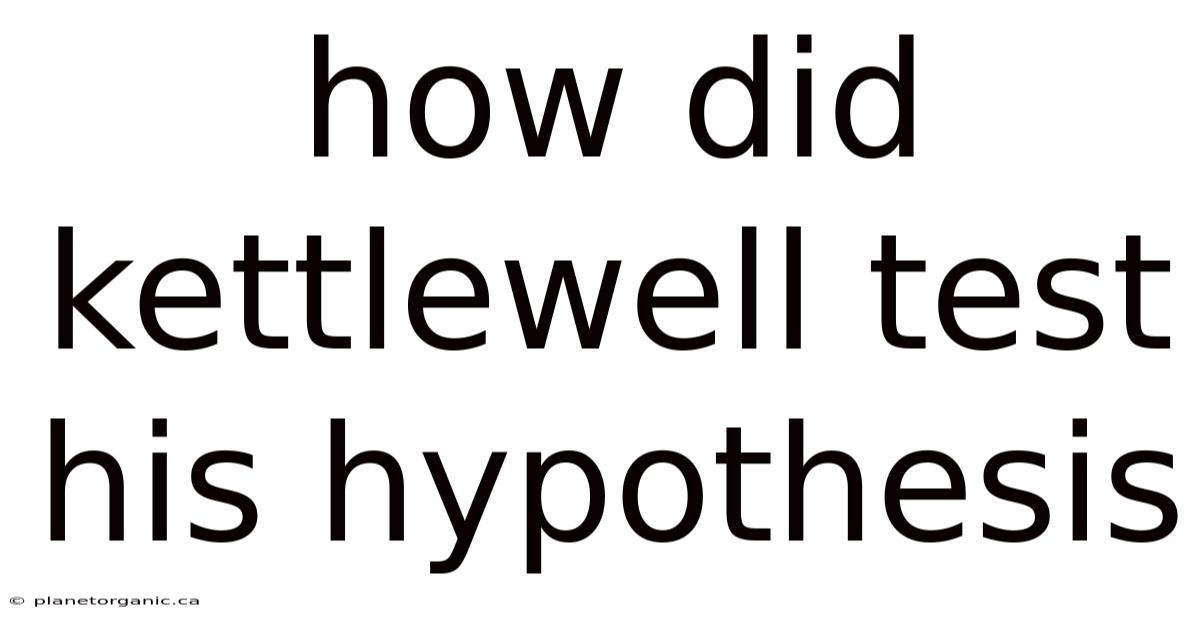 How Did Kettlewell Test His Hypothesis