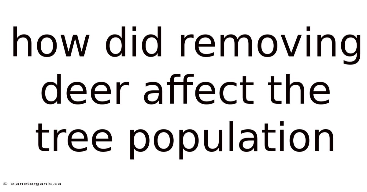 How Did Removing Deer Affect The Tree Population