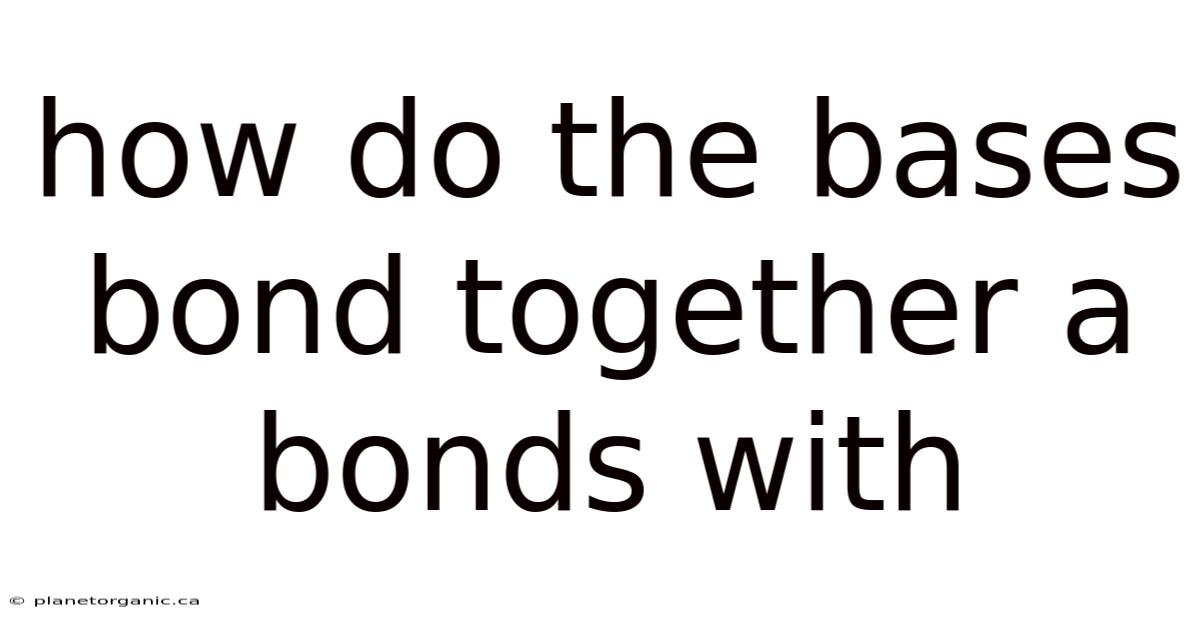 How Do The Bases Bond Together A Bonds With