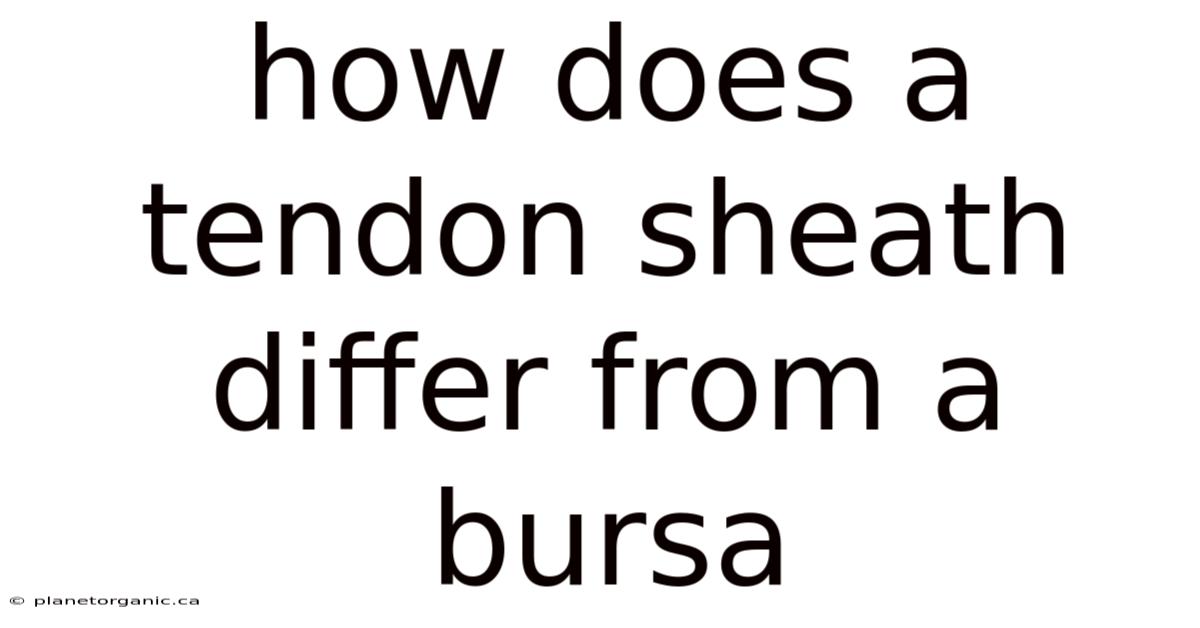 How Does A Tendon Sheath Differ From A Bursa