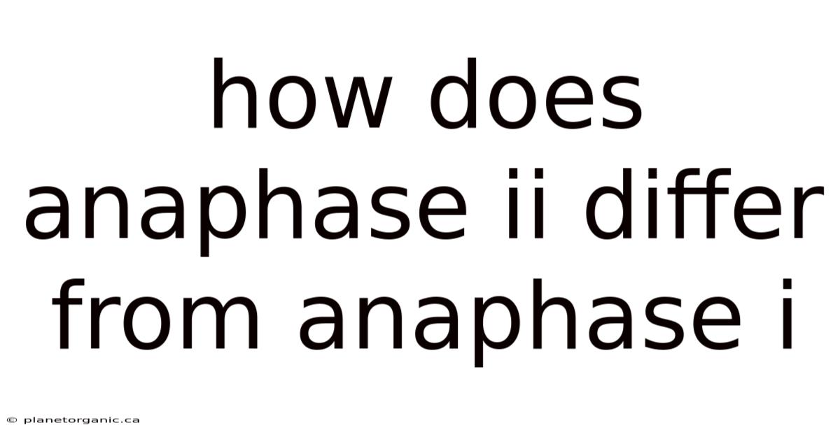 How Does Anaphase Ii Differ From Anaphase I