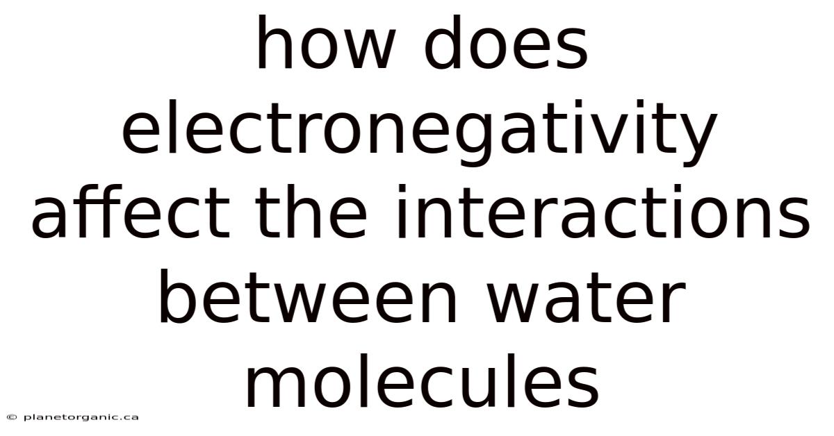 How Does Electronegativity Affect The Interactions Between Water Molecules
