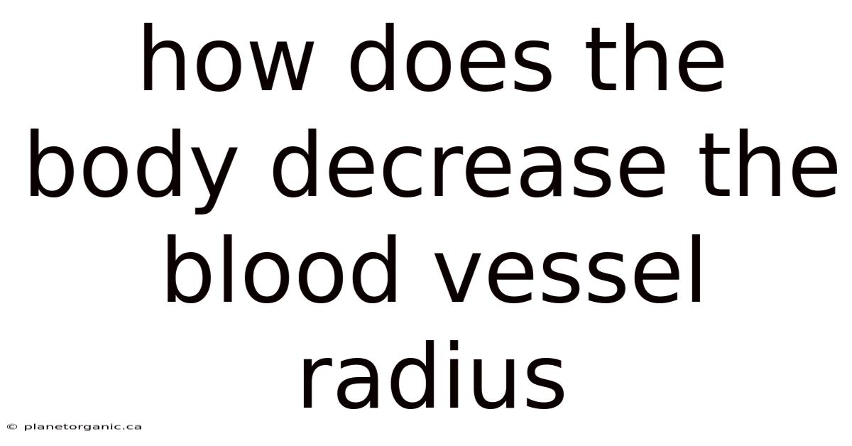 How Does The Body Decrease The Blood Vessel Radius
