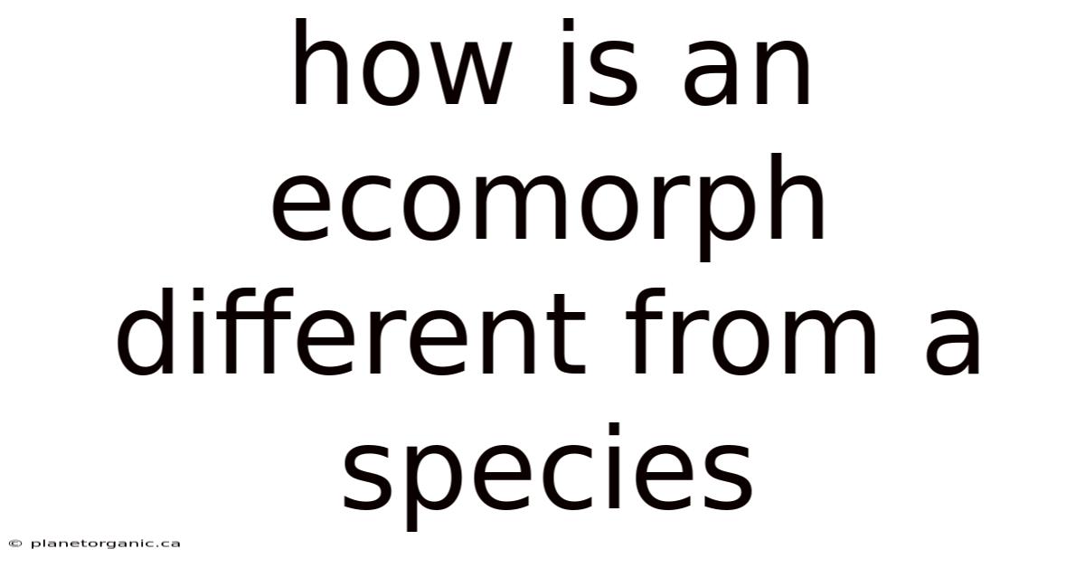 How Is An Ecomorph Different From A Species