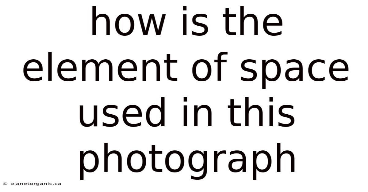 How Is The Element Of Space Used In This Photograph