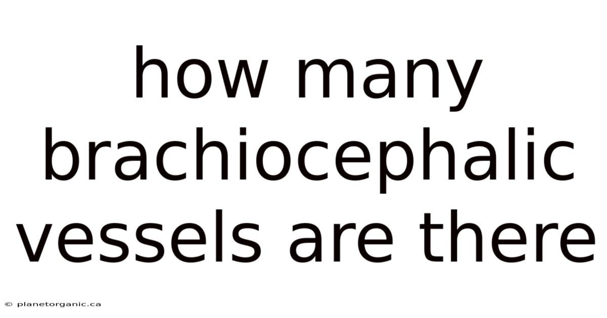 How Many Brachiocephalic Vessels Are There