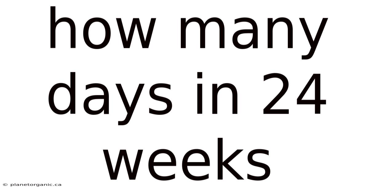How Many Days In 24 Weeks