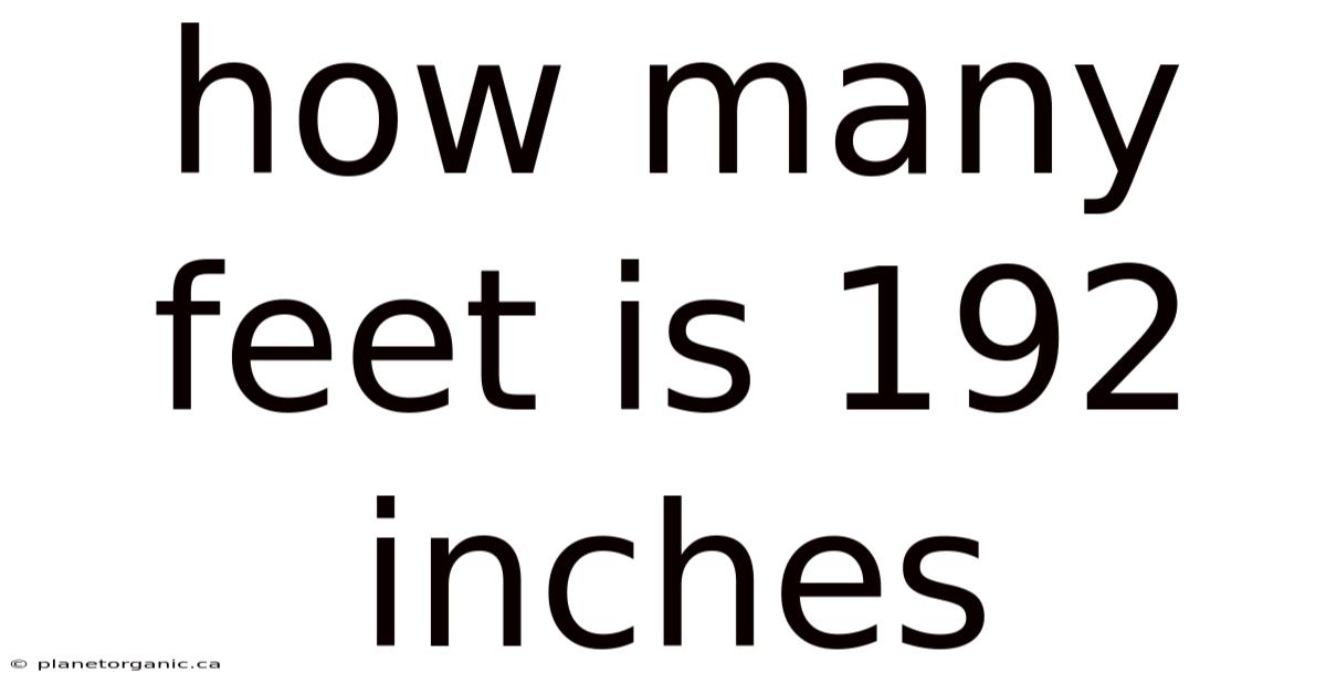 How Many Feet Is 192 Inches