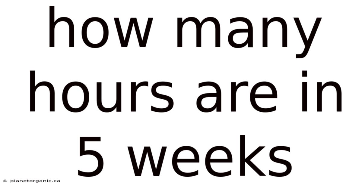How Many Hours Are In 5 Weeks
