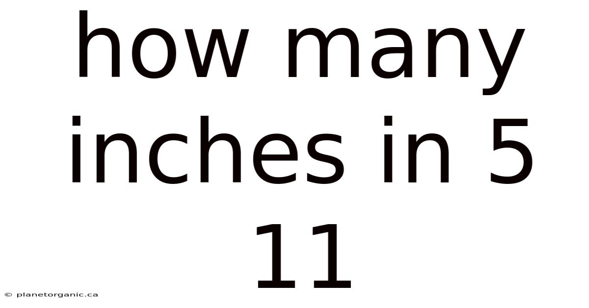 How Many Inches In 5 11