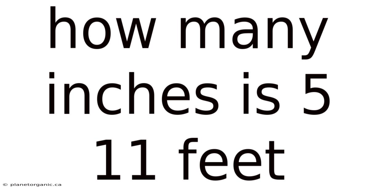How Many Inches Is 5 11 Feet