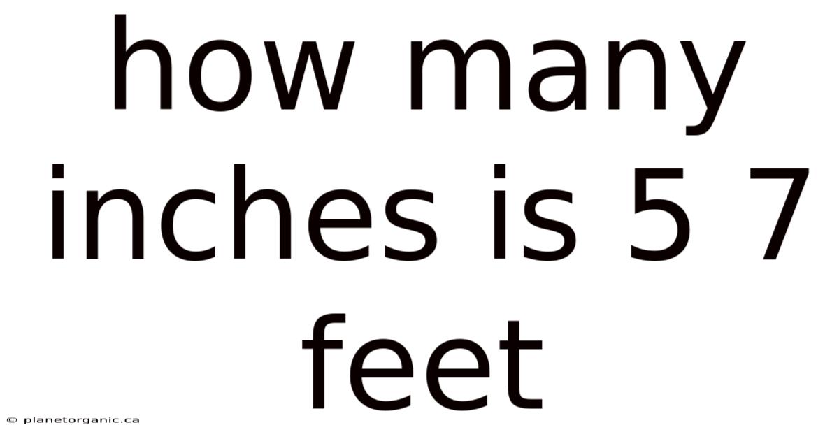 How Many Inches Is 5 7 Feet