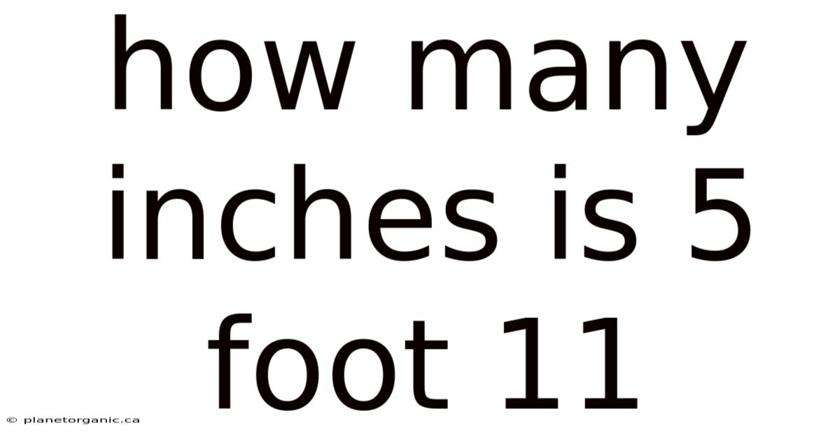 How Many Inches Is 5 Foot 11