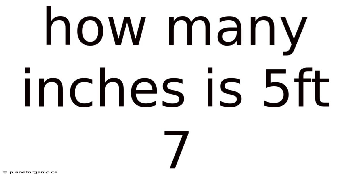 How Many Inches Is 5ft 7