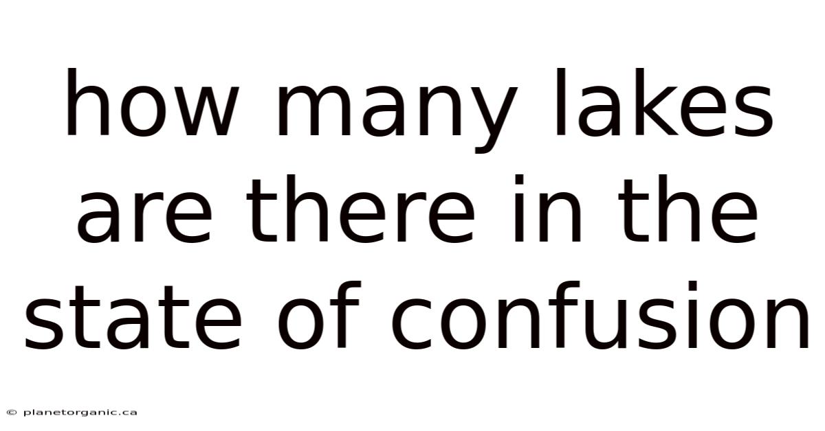 How Many Lakes Are There In The State Of Confusion