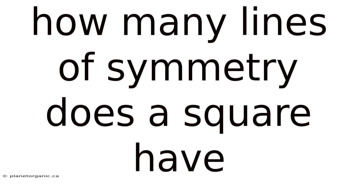 How Many Lines Of Symmetry Does A Square Have